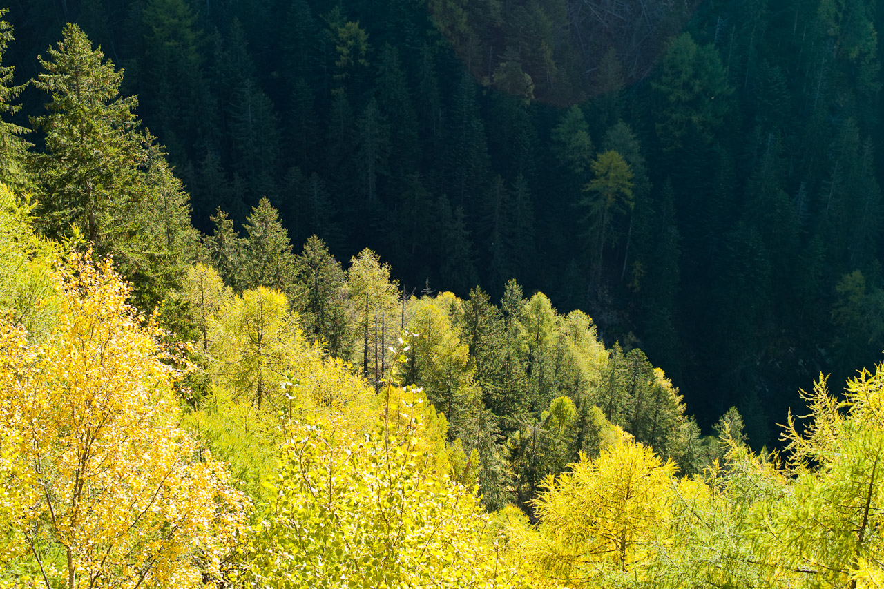 landscape_021.jpg