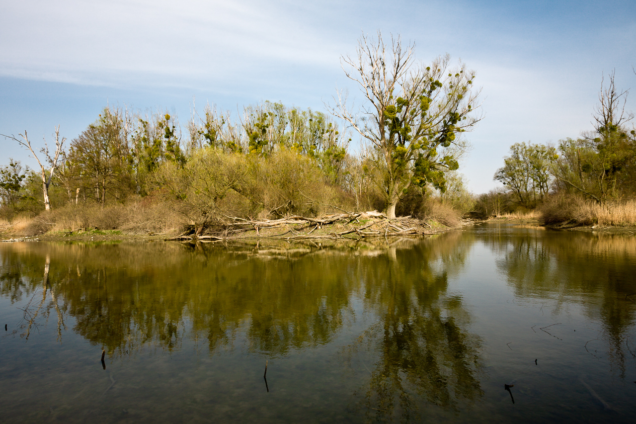 landscape_022.jpg