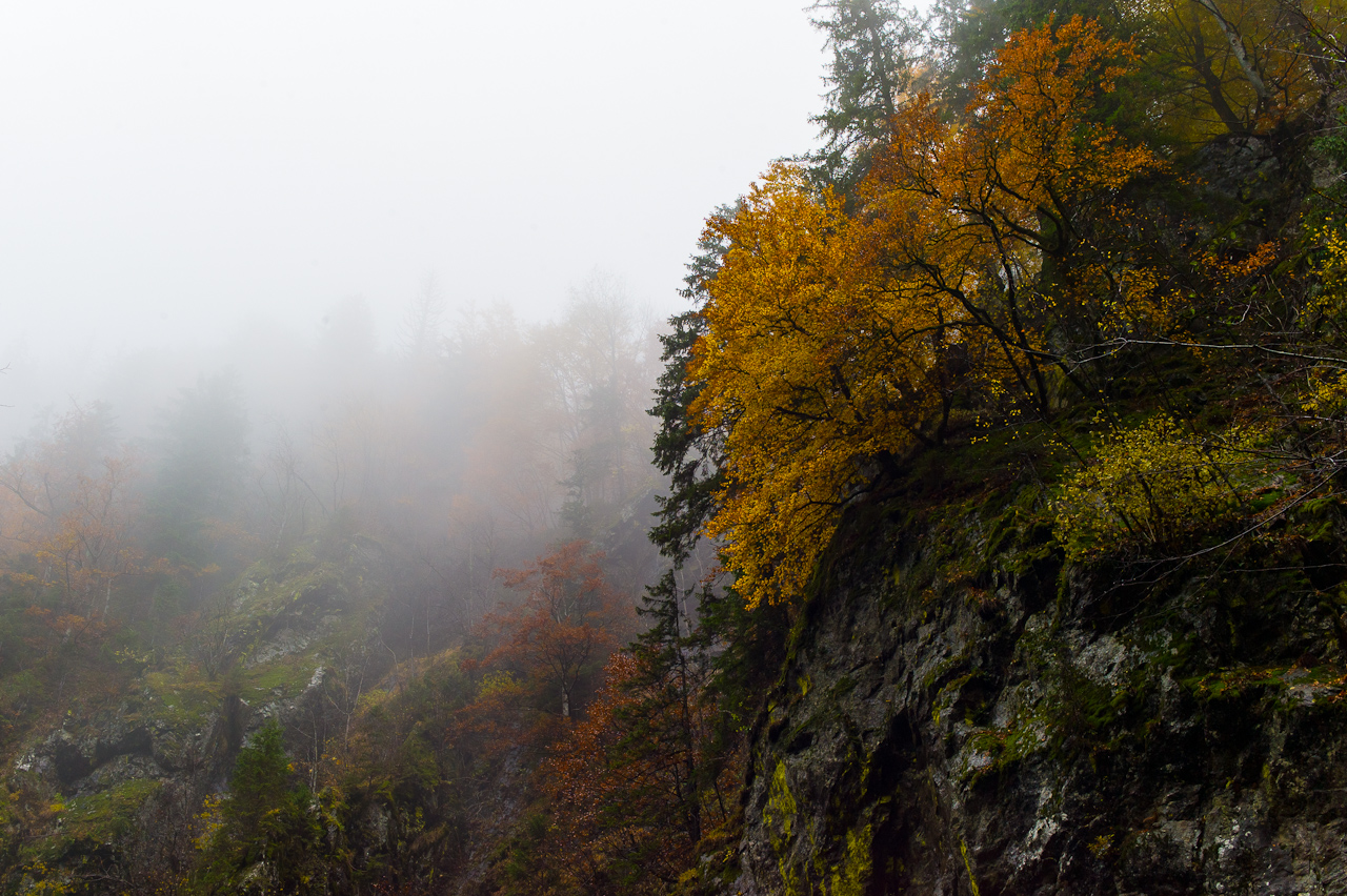 landscape_023.jpg