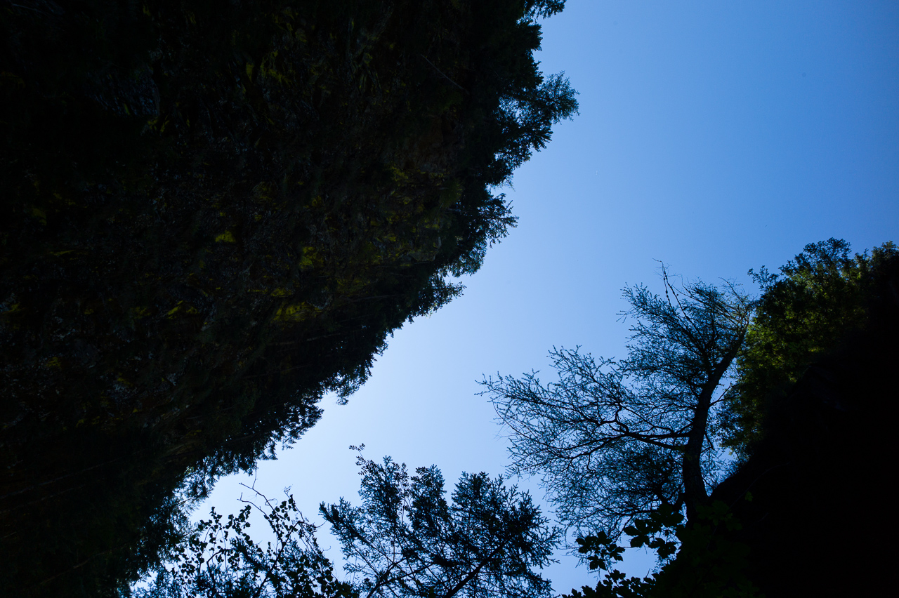 landscape_024.jpg