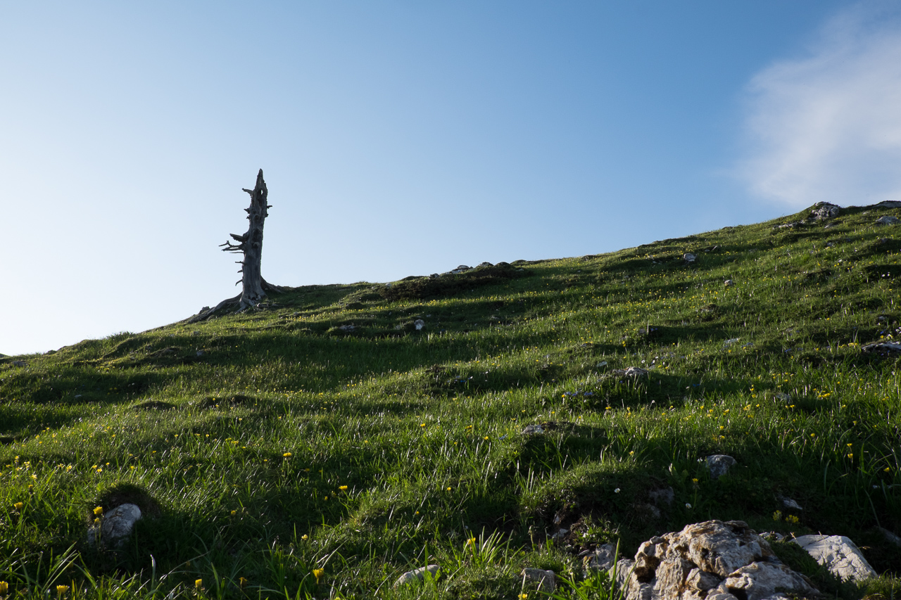 landscape_025.jpg