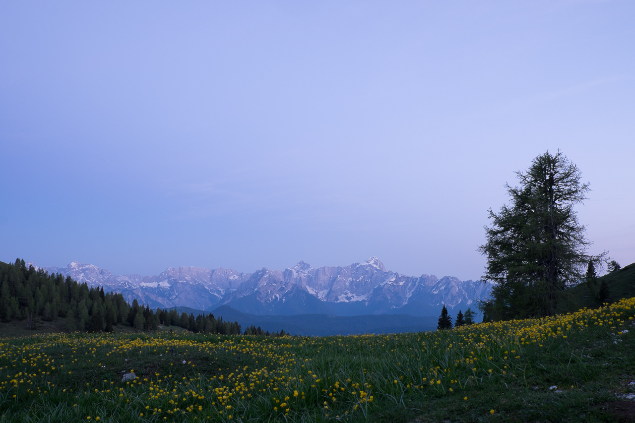 landscape_027.jpg