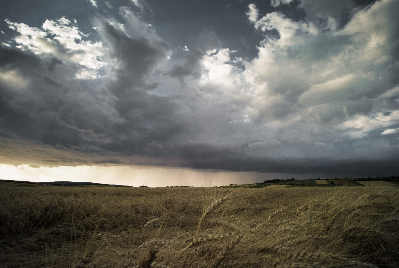 landscape_029.jpg