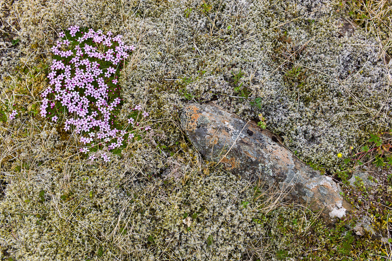 island_032.jpg