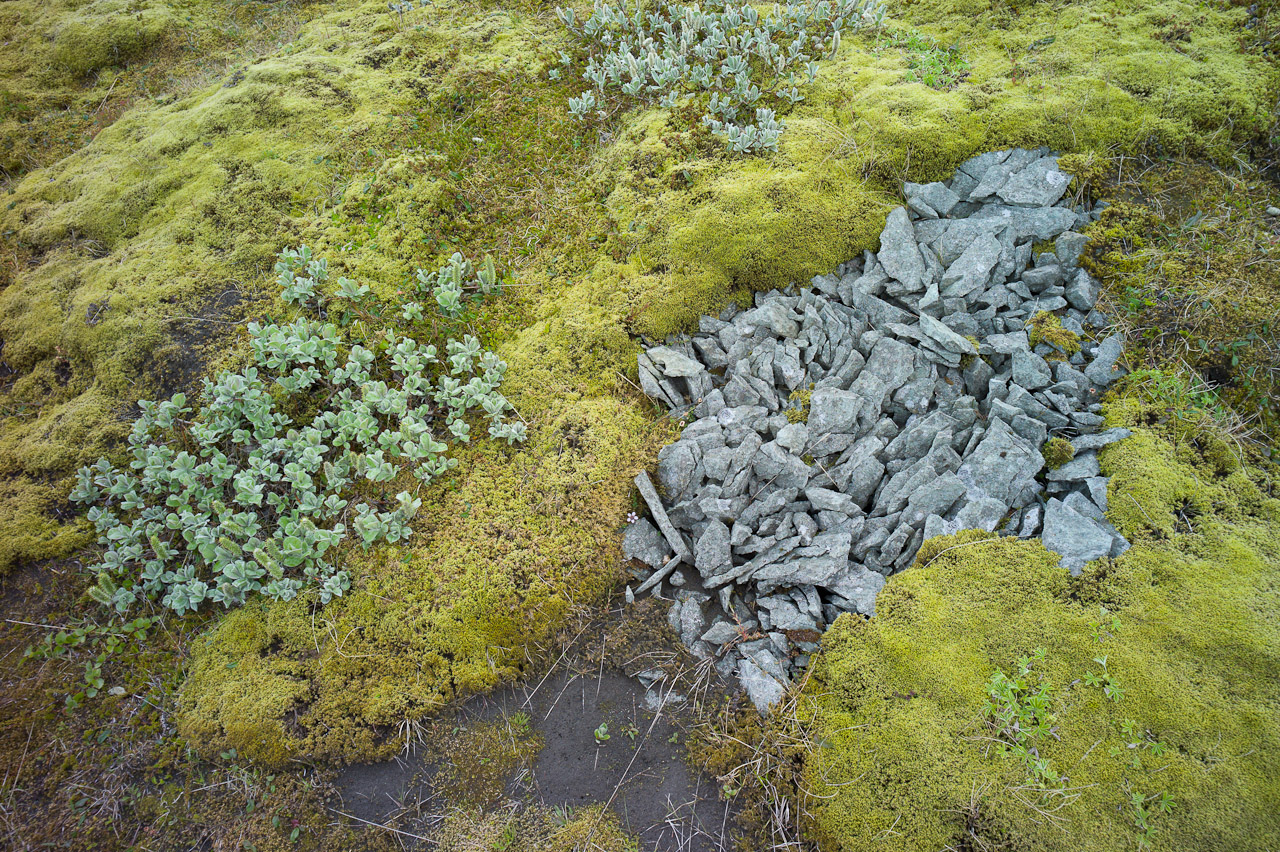 island_039.jpg