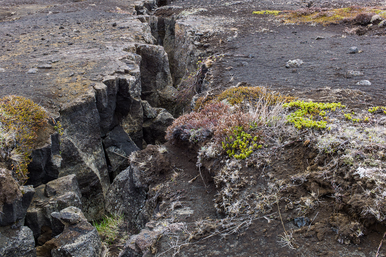 island_042.jpg